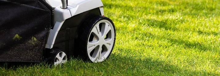 Vertikutierer auf grünem Rasen