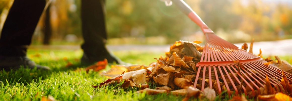 Gartenhaus-Gerüst aus Holz