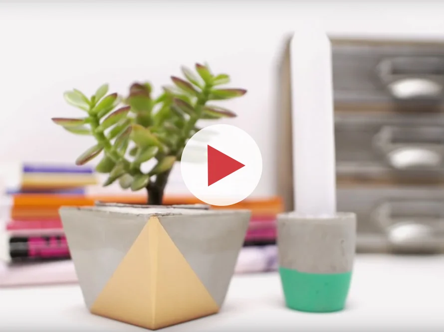 Sukkulentenpflanze in einem geometrischen Betontopf