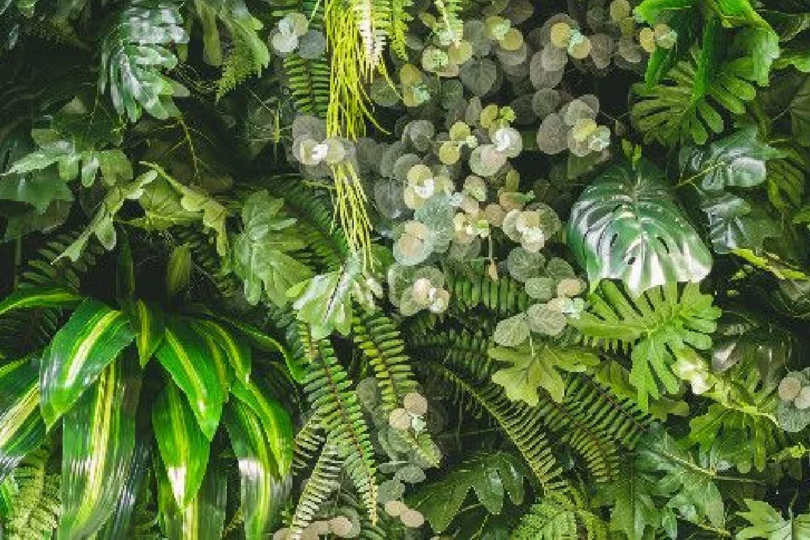 Wand mit verschiedenen grünen Pflanzen