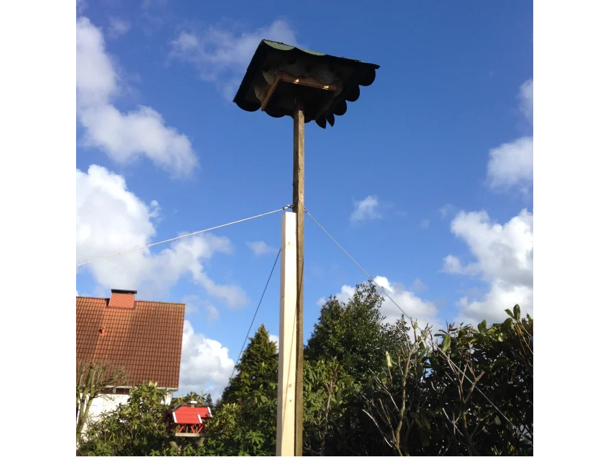 Ein Vogelhaus auf einem hohen Holzpfosten