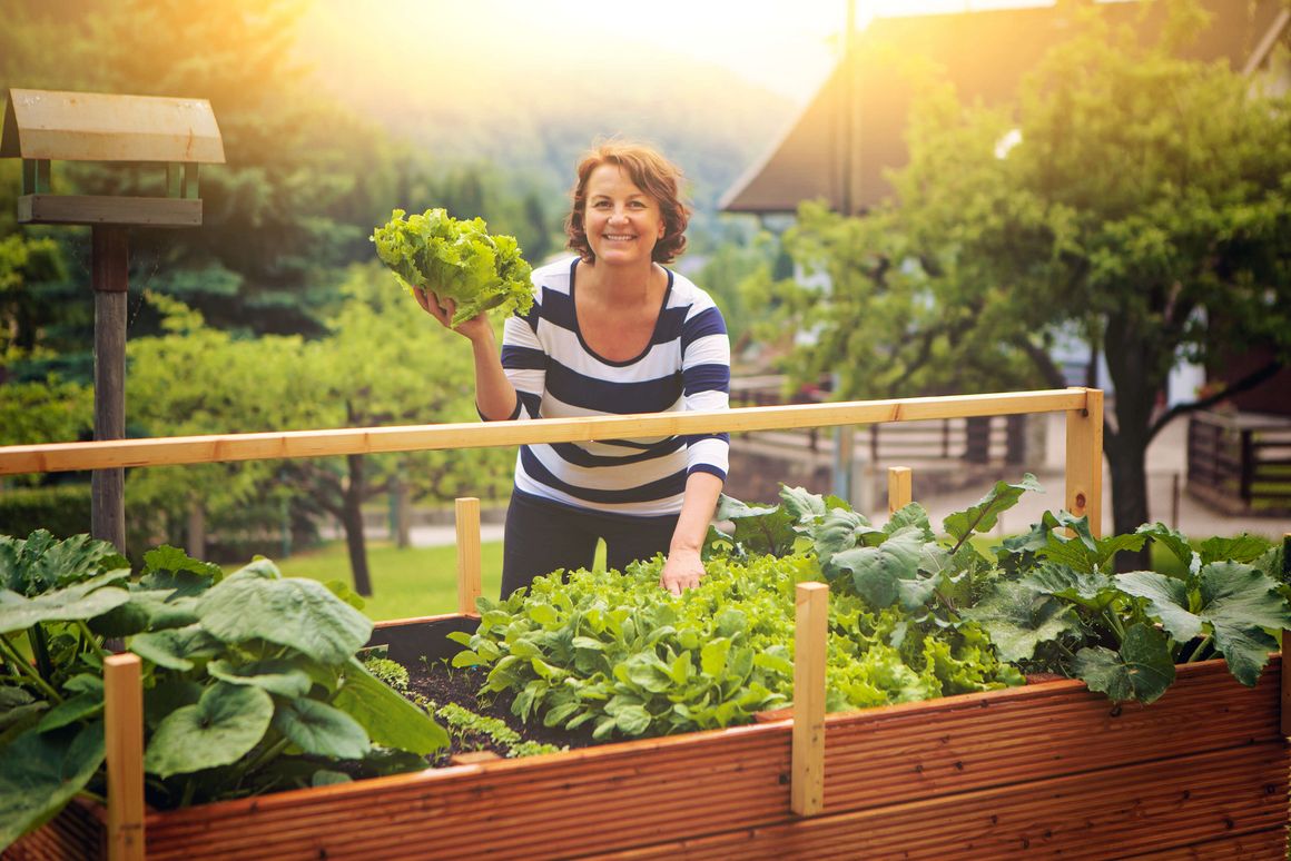 Frau hält Salat in der Hand über vollem Hochbeet