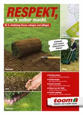 Collage mit verschiedenen Arbeitsschritten beim Rasen verlegen