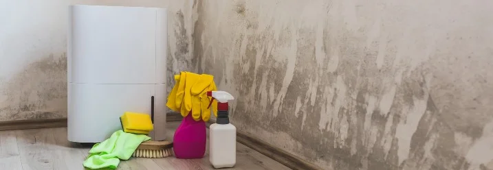 Luftentfeuchter und Putzzeug in einem feuchten Raum