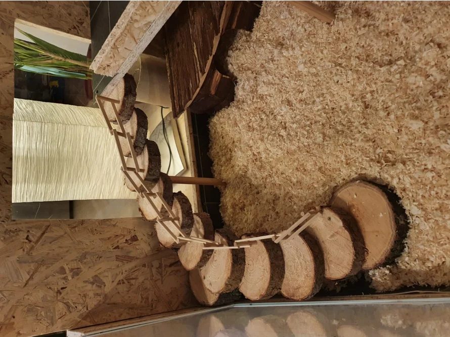 Holzstiege aus Baumscheiben