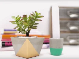 Sukkulente in geometrischem Topf