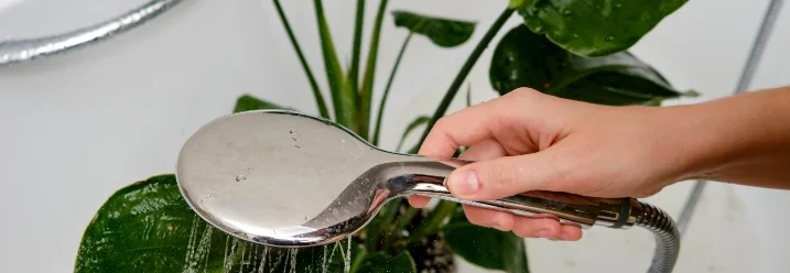 Person gießt Pflanze mit Duschkopf