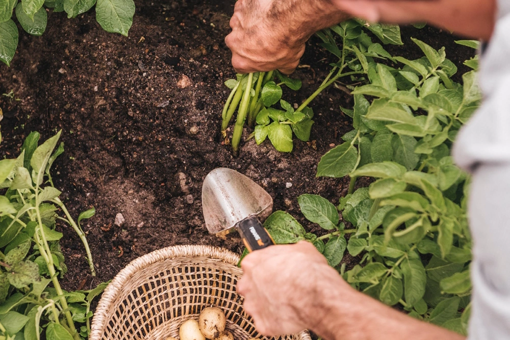 Eine Person nutzt eine Fiskars Schaufel in einem Beet