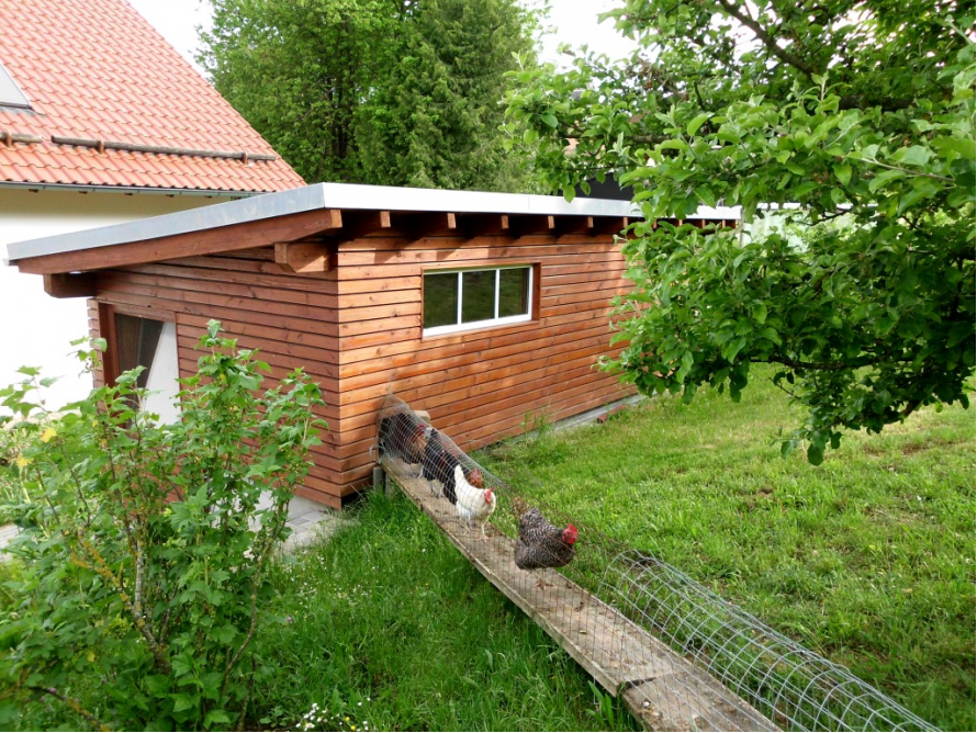 Garten-und Hühnerhaus