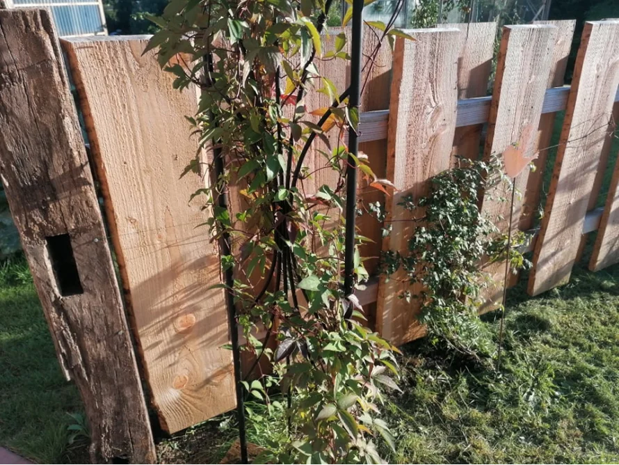 Holzzaun mit Rankgitter