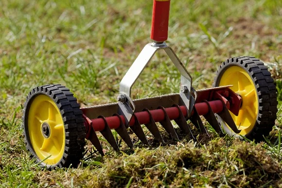 Handvertikutierer im Rasen
