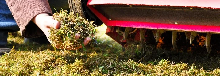 Person hält Rasenstücke in der Hand