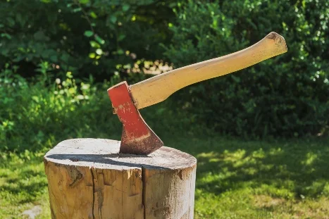 Axt steckt in Baumstamm