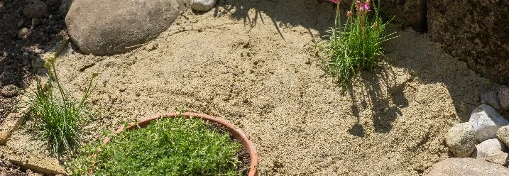Sandfläche mit Pflanzen und Steinen