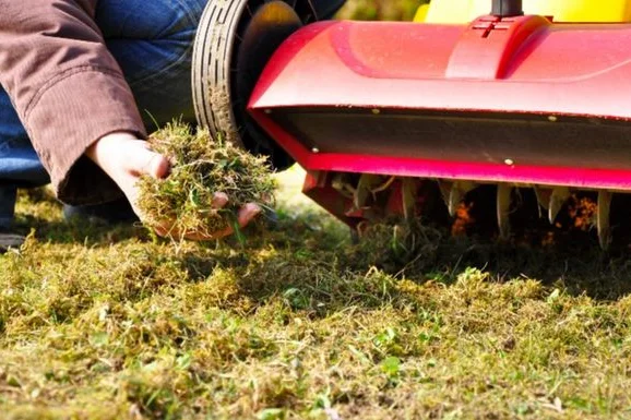 Person entfernt Moos mit Vertikutierer