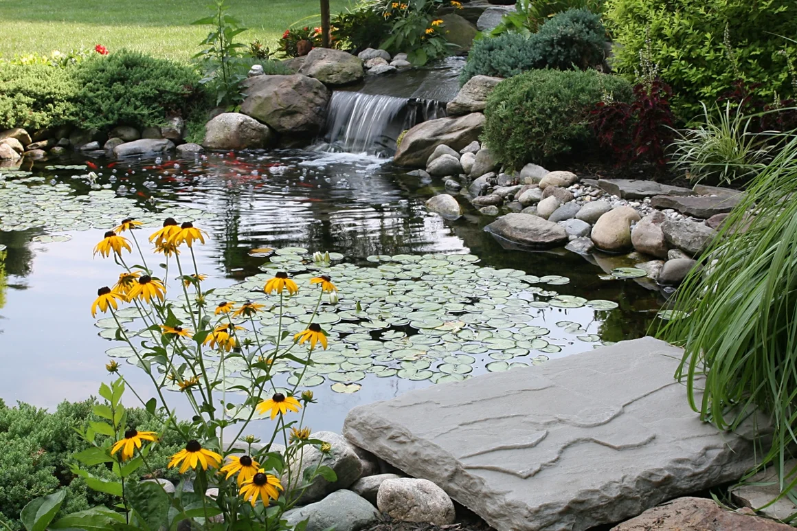 Gartenteich mit Wasserfall und Seerosen
