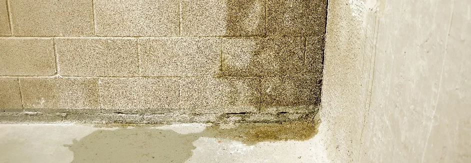 Feuchte Wand im Keller