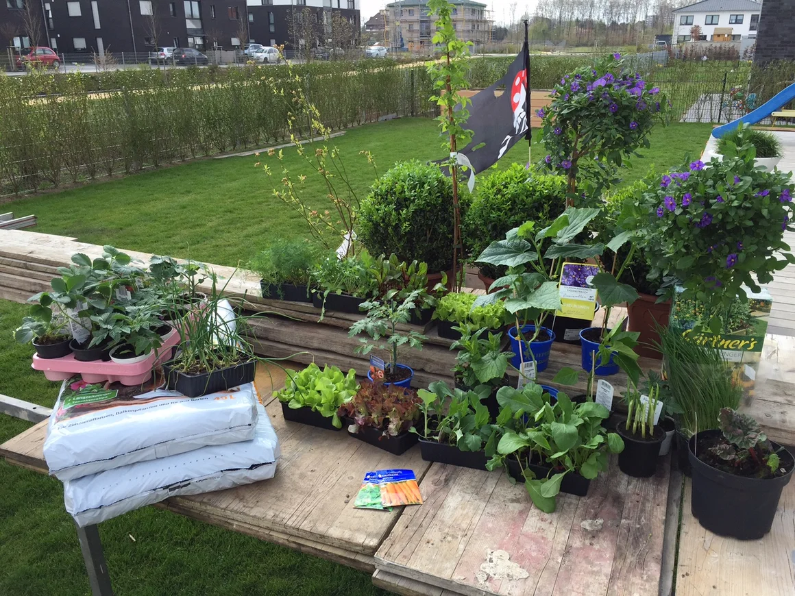 Pflanzen und Gartenzubehör auf einem Tisch