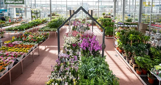 Große Verkaufsfläche eines Gartencenters mit vielen bunten Blumen und Pflanzen.