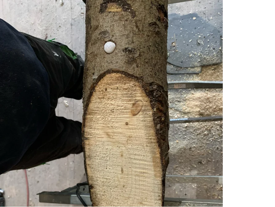 Holzsäule auf einer Säge