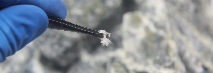 Pinzette hält Asbestfasern