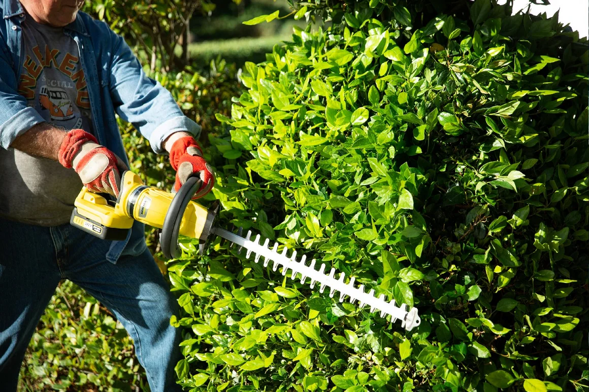 Person schneidet Hecke mit Heckenschere