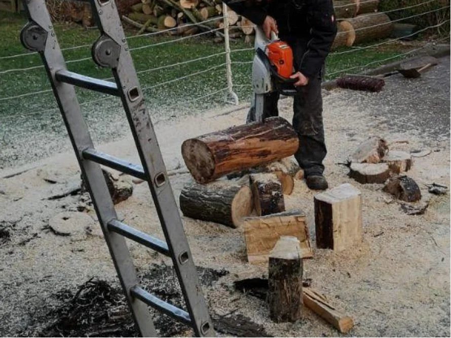 Person sägt Holz mit Kettensäge