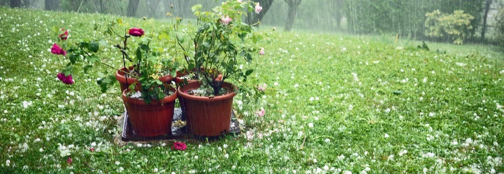 Hagel auf grünem Rasen