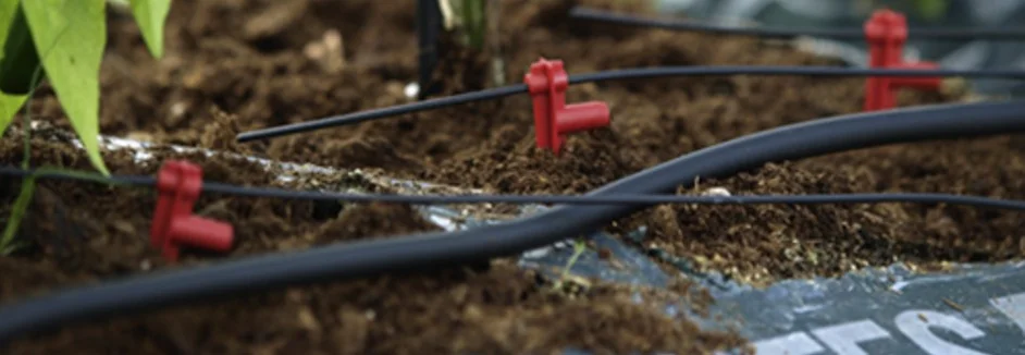 Tropfschlauch auf einem Beet