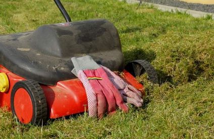 Schritt 3: Rasen vertikutieren Vertikutierer neben vertikutiertem Rasenfilz