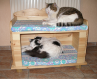 Katzenhaus mit zwei Liegeflächen
