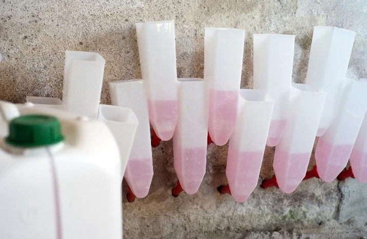 Weiße Plastikbehälter mit rosa Flüssigkeit