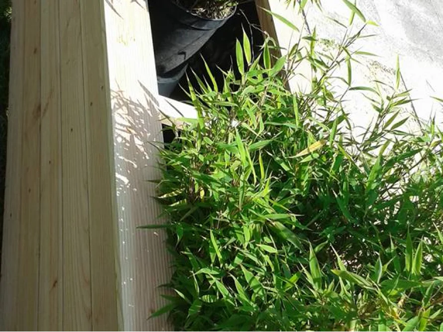 Hölzernes Gartenbeet mit Bambus