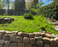 Garten mit Rasenfläche und Steinmauer