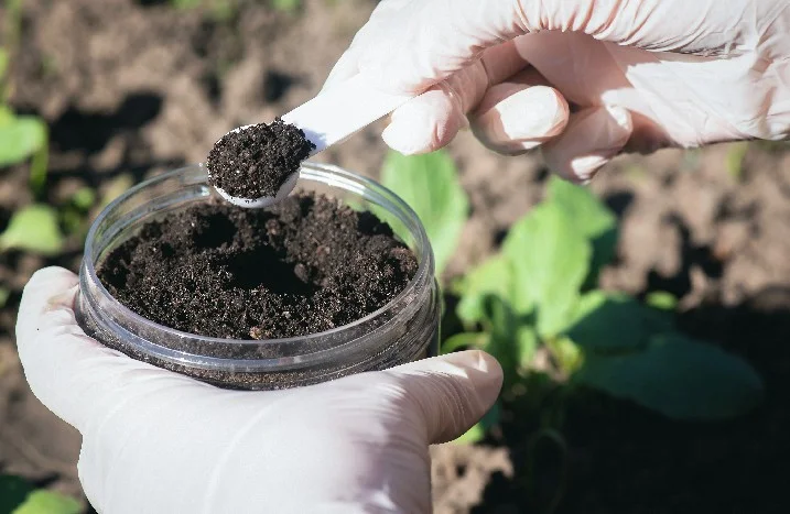 Handschuhe halten Erde und Löffel