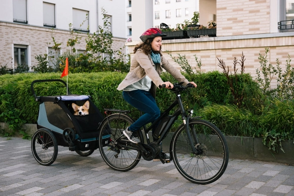 Eine Person fährt mit dem Fahrrad und zieht einen Anhänger mit einem Hund.