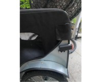 Hundeanhänger Detailansicht