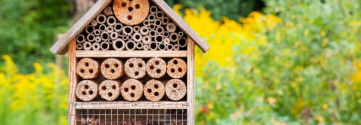 Insektenhotel