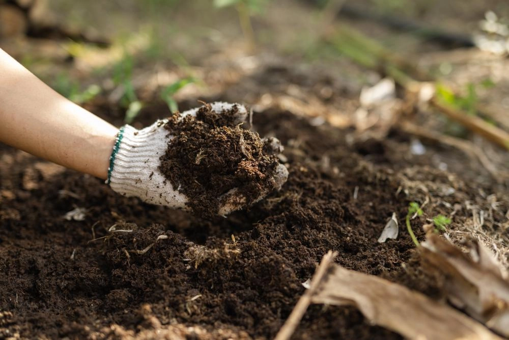 Eine Hand mit einem Gartenhandschuh hält eine Handvoll dunkler Erde.