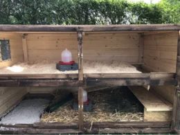 Leerer Hühnerstall aus Holz