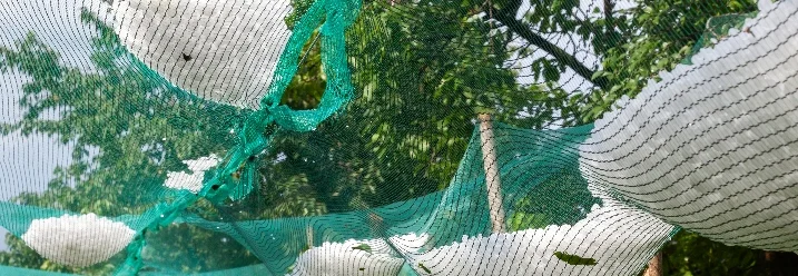 Hagelschutznetz über Bäumen