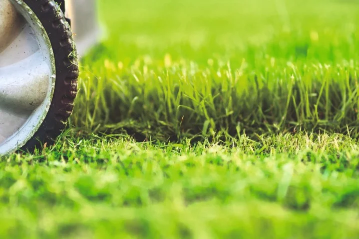 Rasenmäher auf grünem Rasen