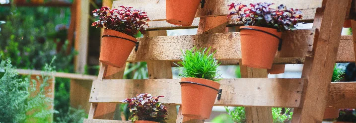 Vertikaler Garten aus Paletten