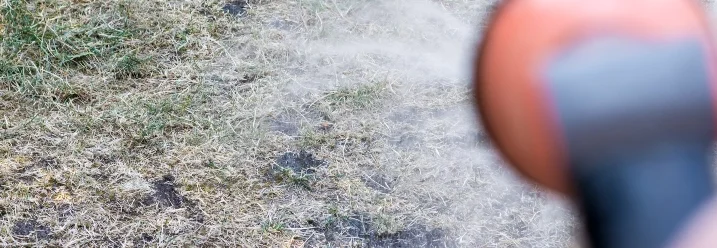 Verbrannter Rasen wird bewässert