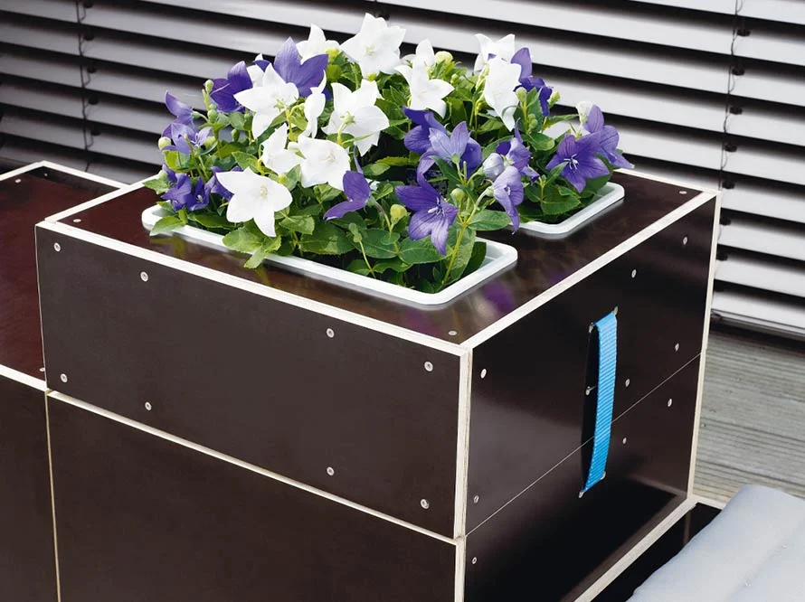 Blumenkasten aus Holz mit weißen und blauen Blumen