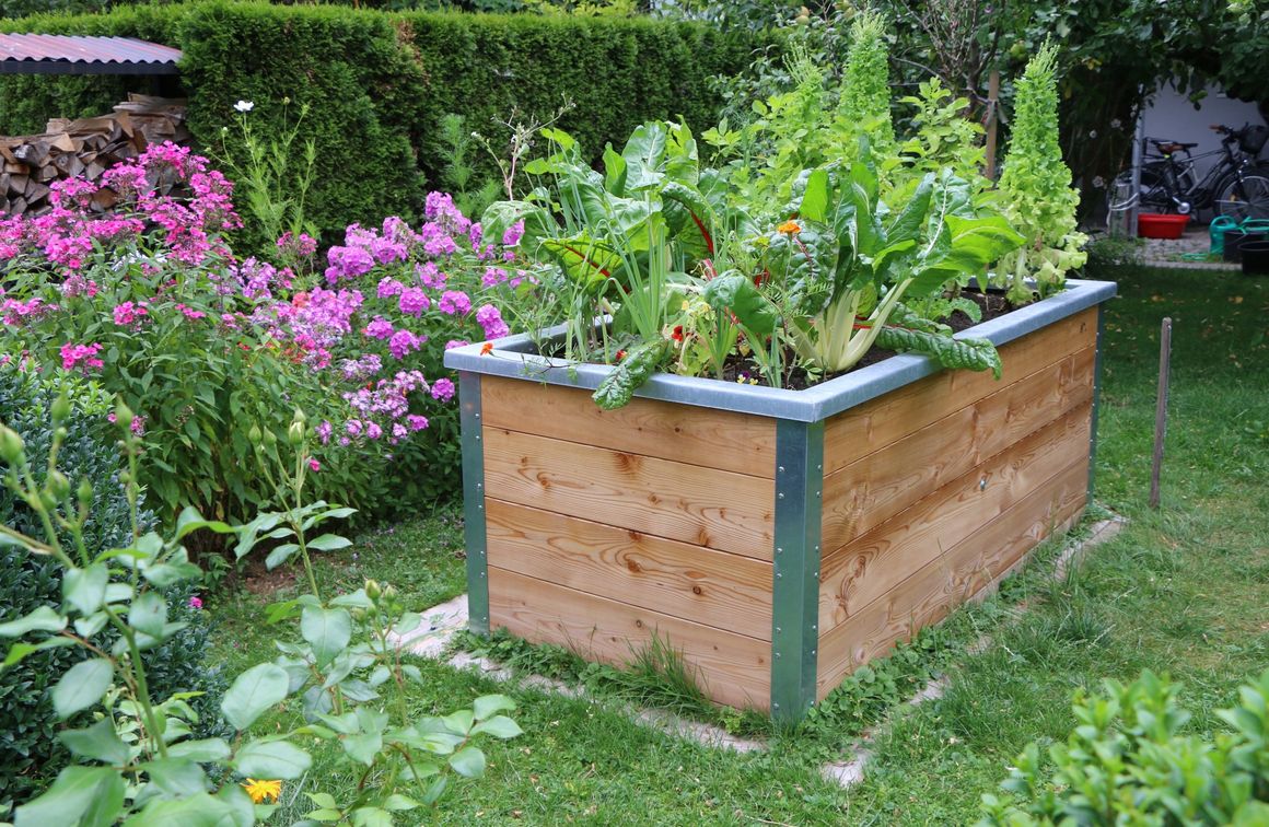 Hochbeet mit Pflanzen