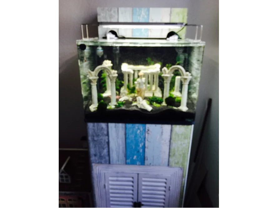 Aquarium mit Säulen Dekoration