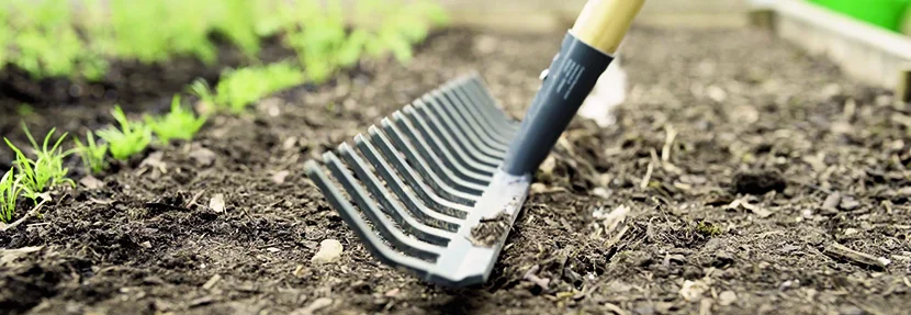 Rechen ebnet Erde im Beet