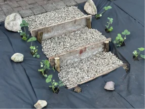 Stufen aus Holzbohlen und Kies