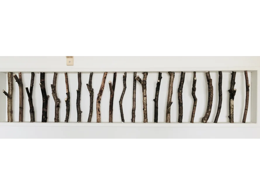 Reihe von Ästen in einem Regal